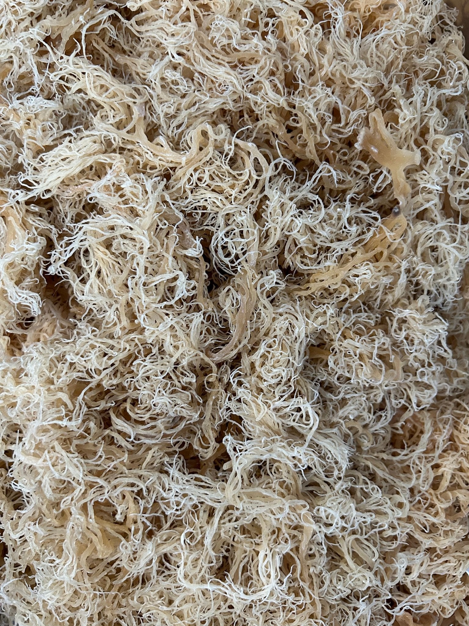 Seamoss St Lucia Sea Moss - 1kg â Island Sea Moss
