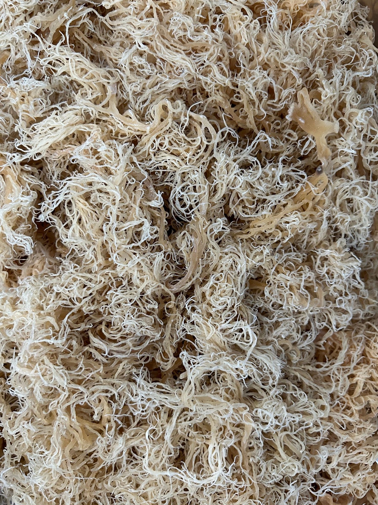 Seamoss St Lucia Sea Moss - 500g - My Store